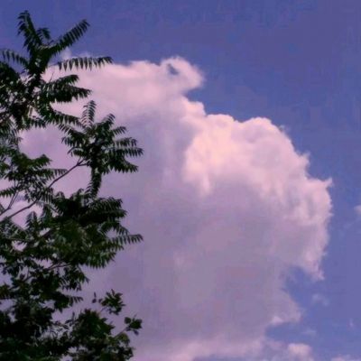 梦幻斩仙官方版手游下载